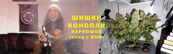 прущие грибы Баксан