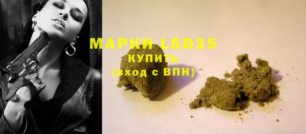 прущие грибы Баксан
