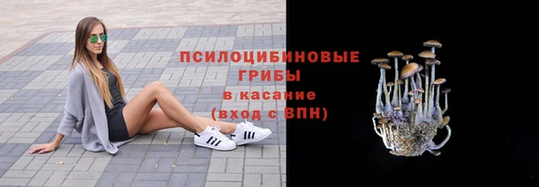 прущие грибы Баксан