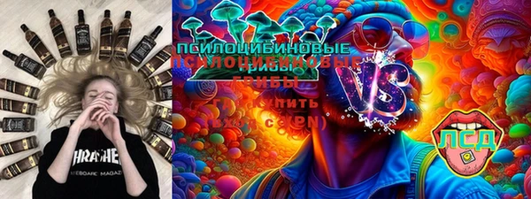 прущие грибы Баксан