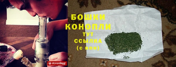 прущие грибы Баксан