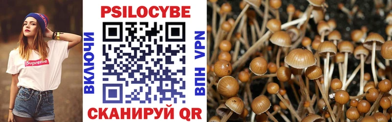 Псилоцибиновые грибы Psilocybine cubensis  как найти наркотики  blacksprut ONION  Волжск 